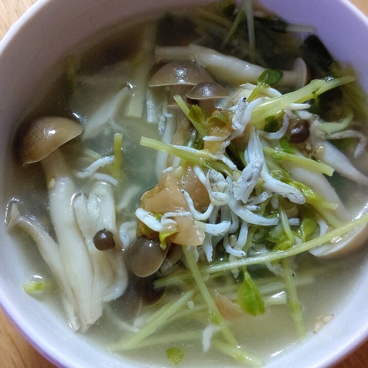 豆苗としらすの梅味のスープ